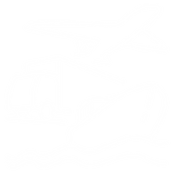 Maritime and Aviation Law