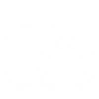 Customs Law