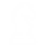 Litigation and Client Representation in Courts
